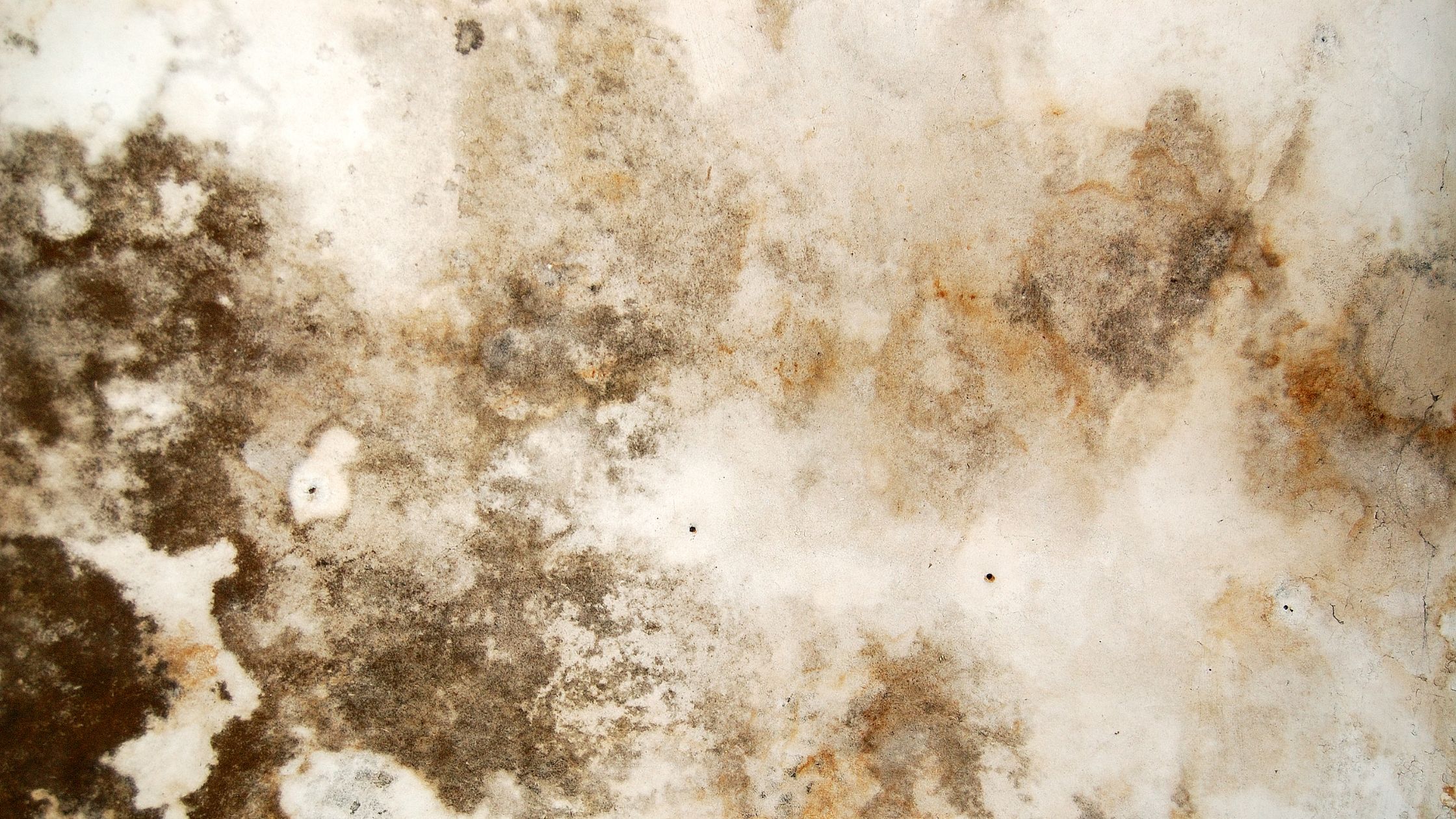 Humidité Mur - Signes - Moisissures taches sombres sur mur